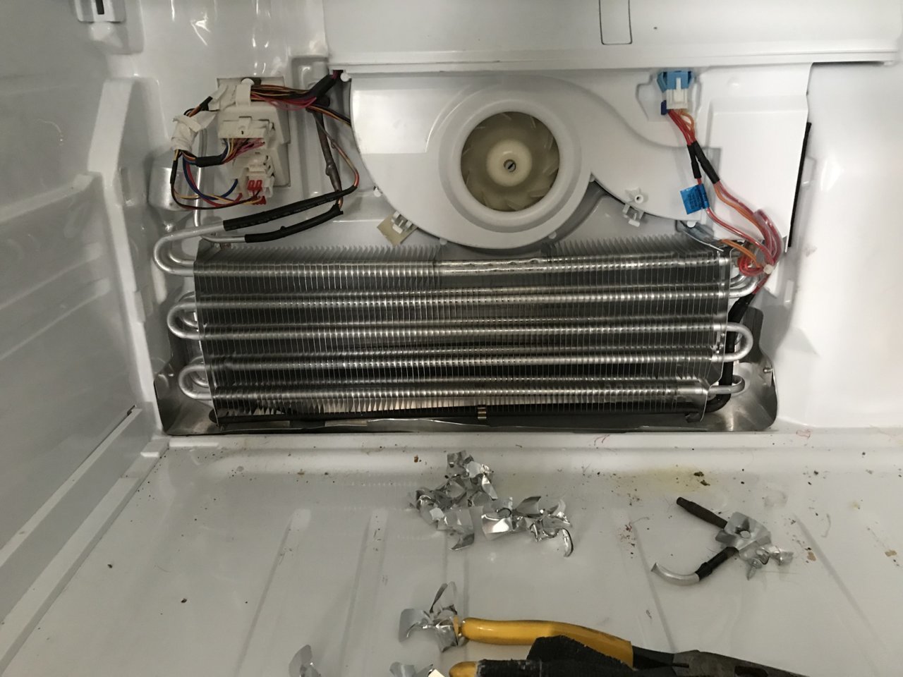 265FEBB6-4AF7-4E79-9DD4-0D40CB7525BA.jpg