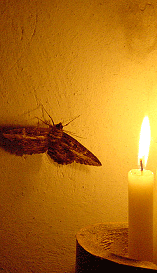 267DA567-4412-496F-84E9-89699B3A51A8.gif