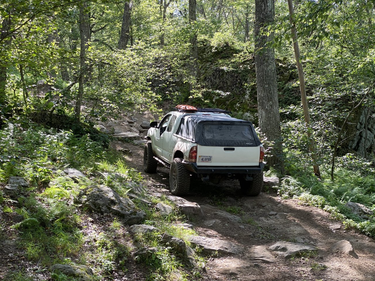 26B4D054-F65C-4964-A954-52082F957A4E.jpg