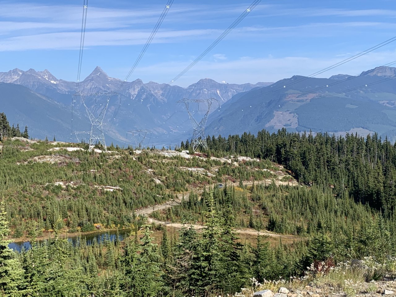 26DF40D4-4213-4678-A13B-D69FFE4C686C.jpg