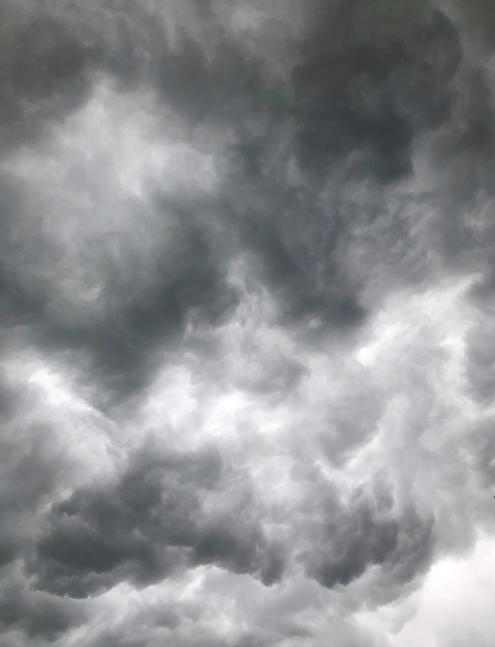26E9E91D-F63A-47D7-8FC6-79AB0D2AF4ED.jpg