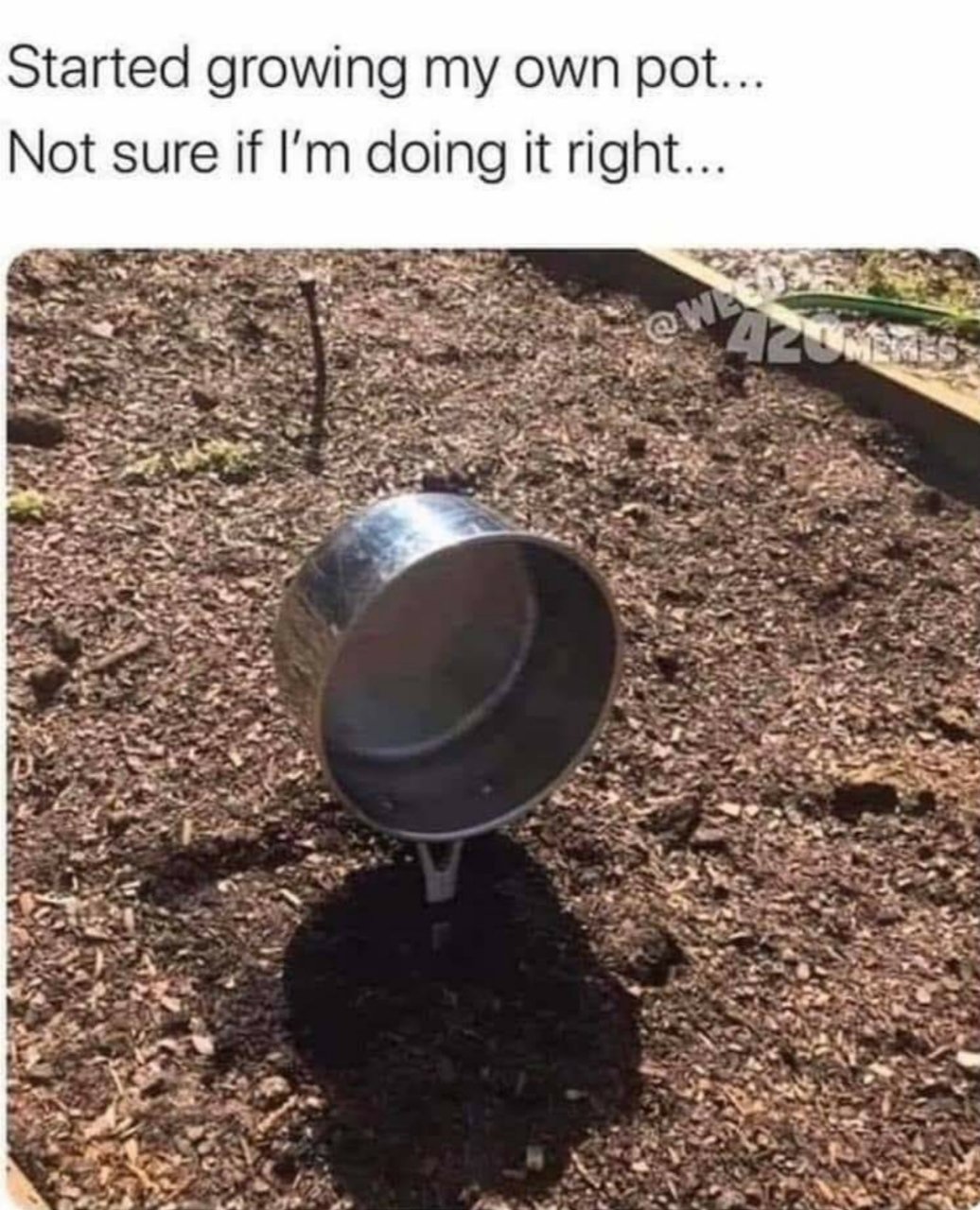 27432546607054.jpg