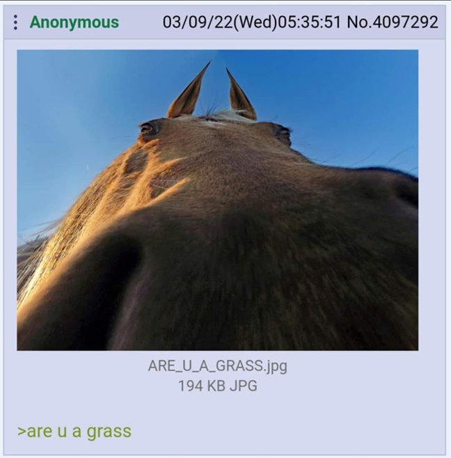275789705_1414539412326507_5378439175599512855_n.jpg