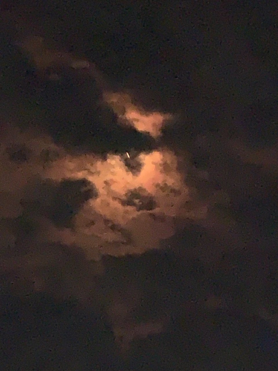 2773F389-C7E4-46FB-B3C8-C3C981E09A83.jpg