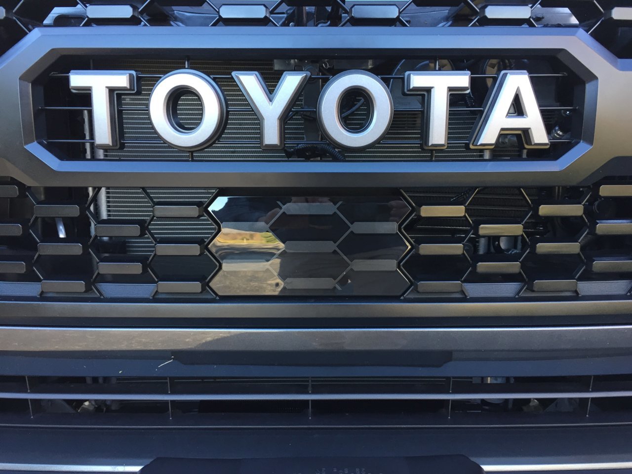 27_trd_grille_garnish.jpg