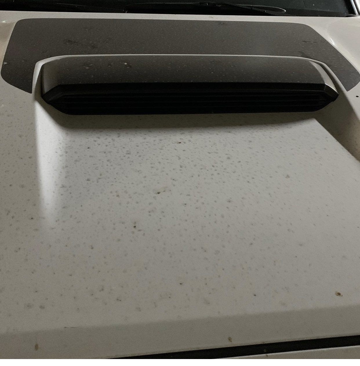 285DD5AF-740D-42F8-BED0-145C63124623.jpg