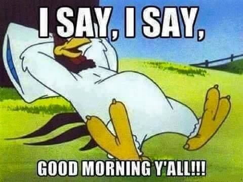 288792-I-Say-I-Say-Good-Morning-Y-all-.jpg