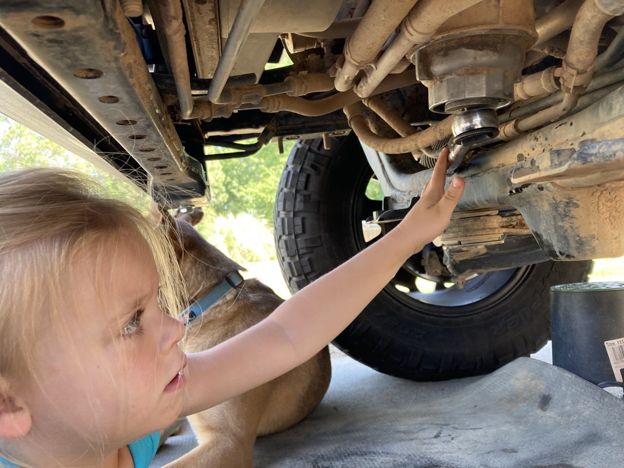 28E3E66B-6BA1-49B5-970F-35083D9B427A.jpg