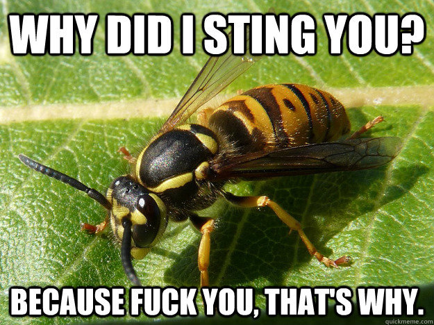 29275efbf6406b7c63545bb41ee7a3507eeb96ca9aa670f986d1e926614208ea.jpg