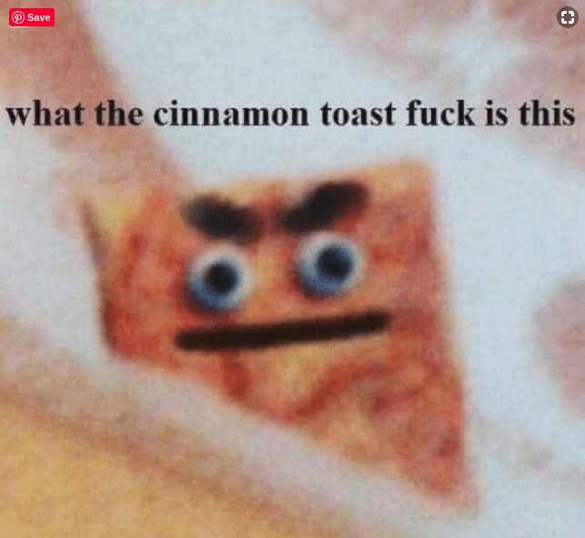 293.jpg