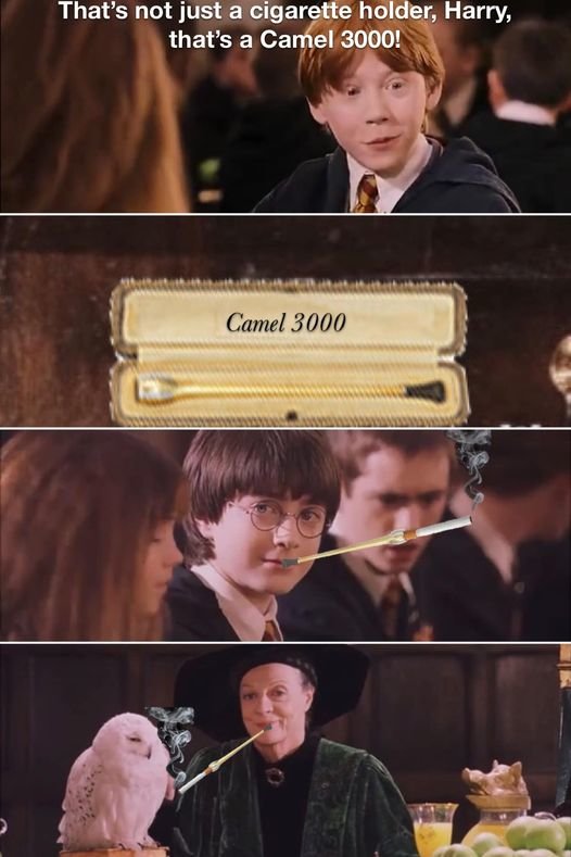 293162333_10221310033251438_3900991857789747201_n.jpg