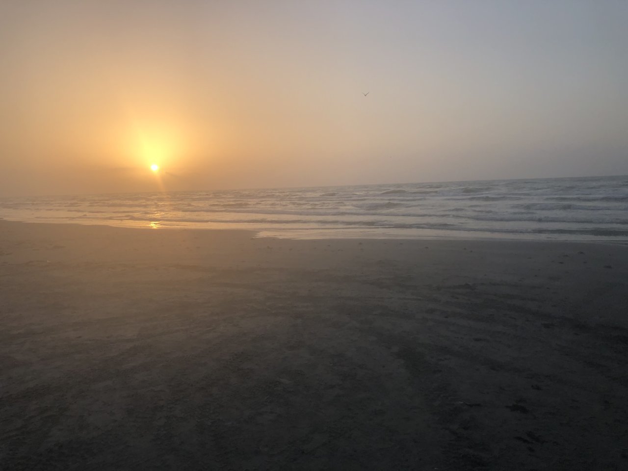 2956B607-2CEC-4421-84D4-EB25C0C5063E.jpg