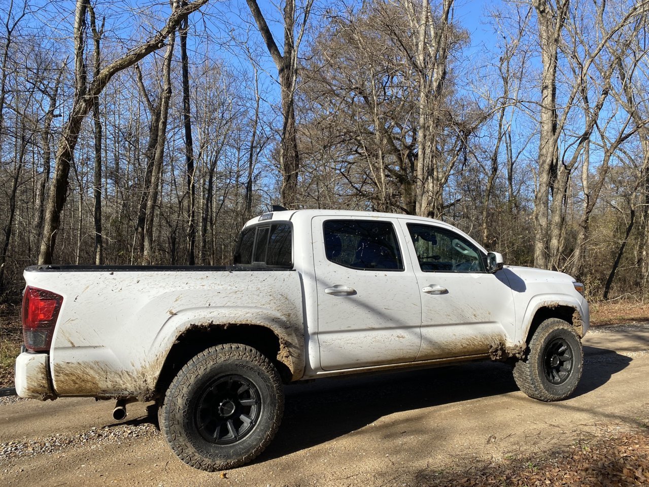 Lets see your 16x8 wheel & tire setup | Tacoma World