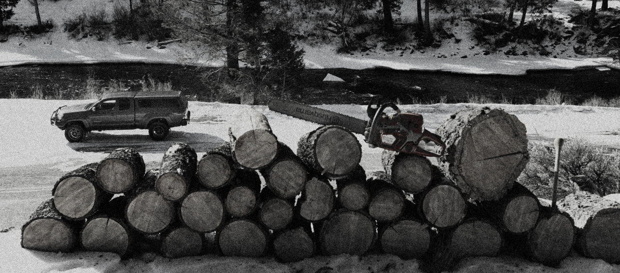2_8_2021_woodcut.jpg