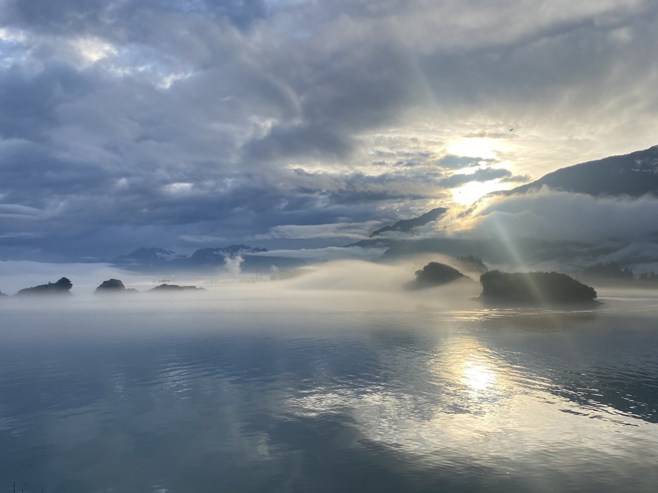 2A63C5D4-A7BC-4AB0-85A5-53AAC44B196C.jpg