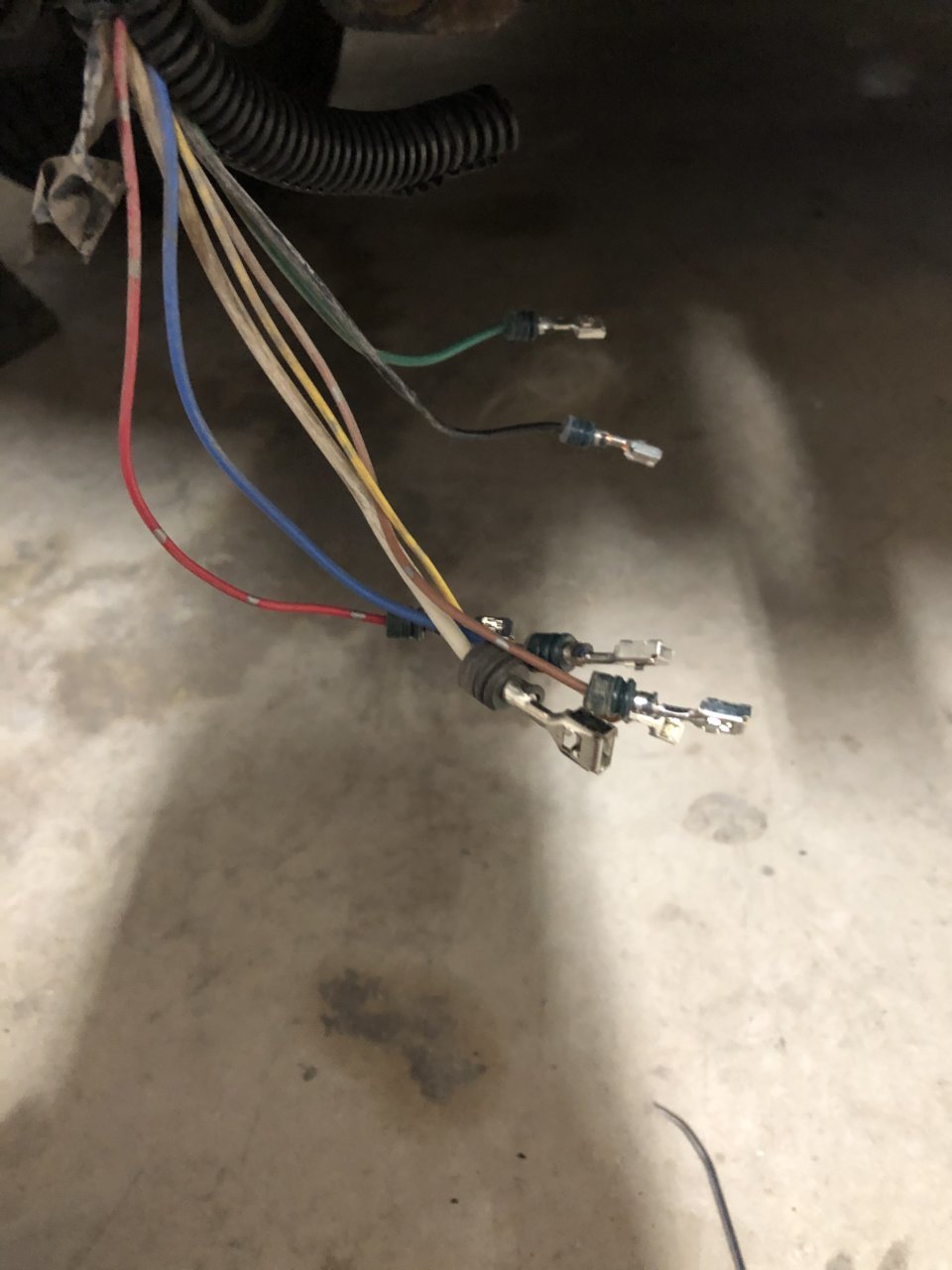 2A6DA58E-4393-4457-805A-92606648C4D6.jpg