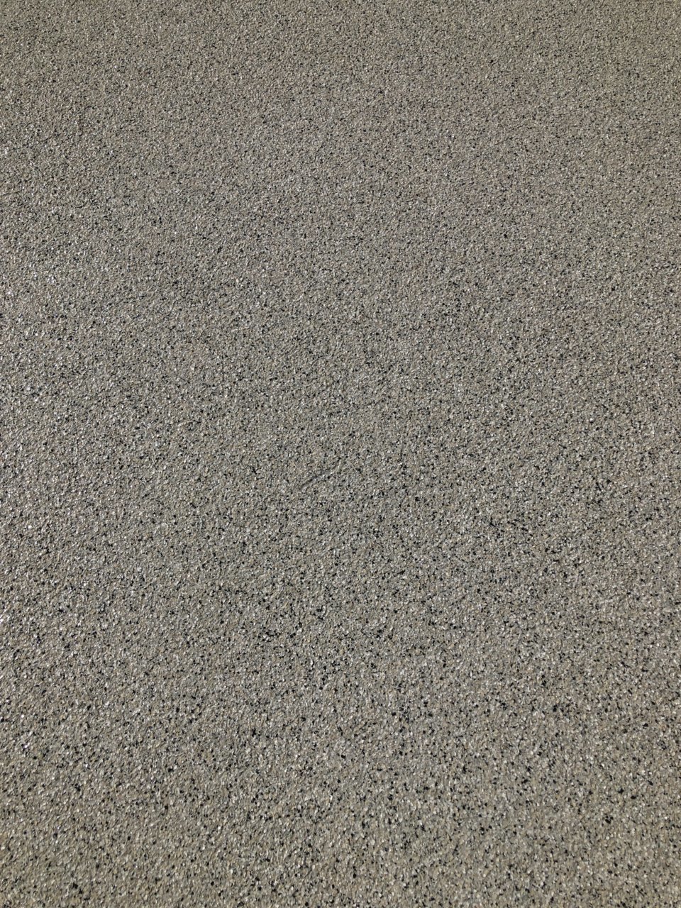 2AB4ACE8-C2E7-4B88-9F64-2F629269BC82.jpg