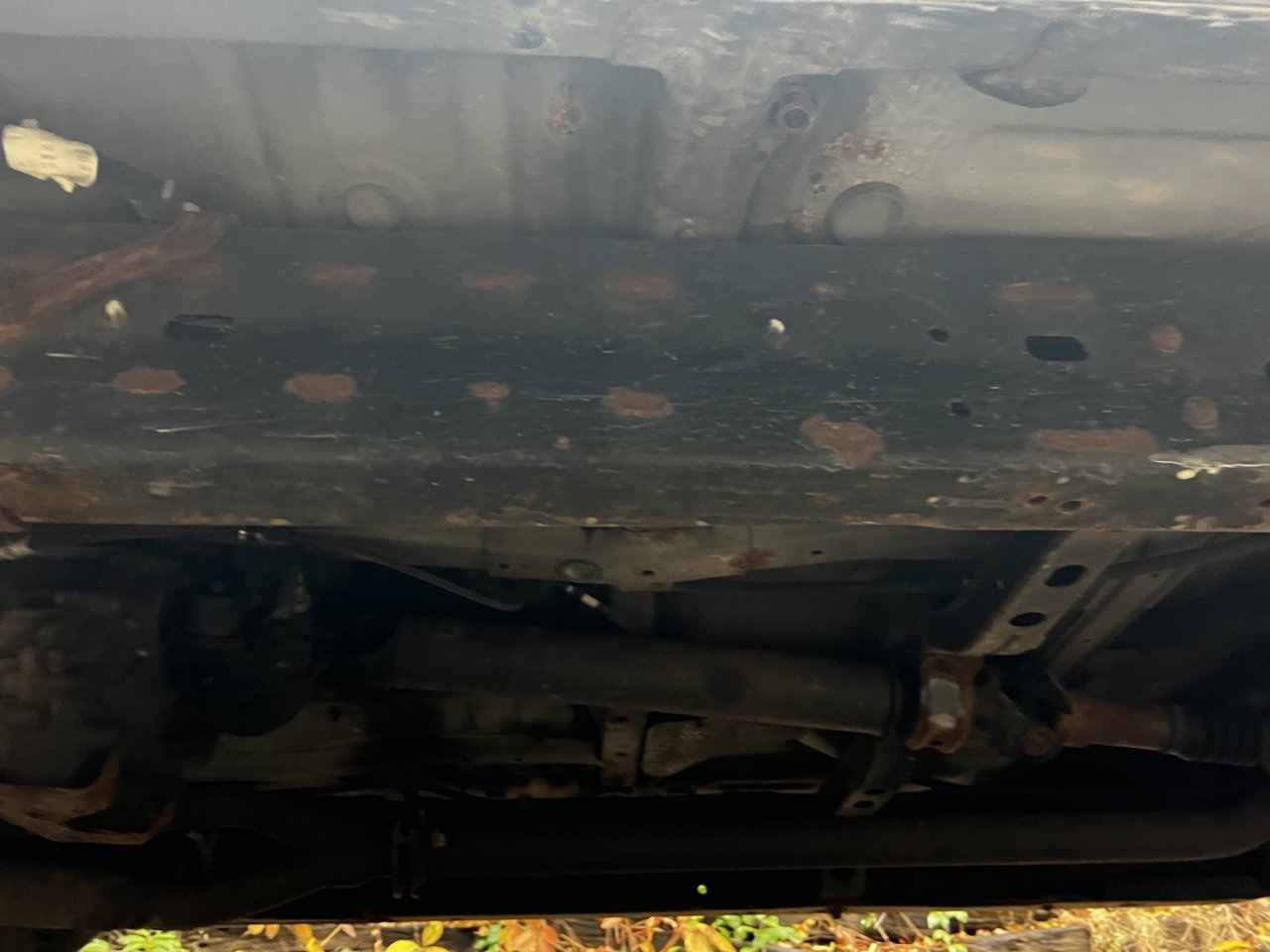 2AB688EC-2FC4-4EEE-BDB9-FC3E94E4472A.jpg