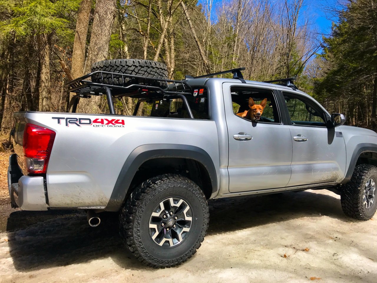 Yakima Roof Rack Tacoma World