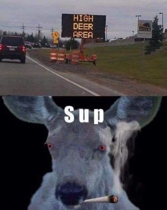 2af697a8d0ce8ead94f187b05a90551c.png