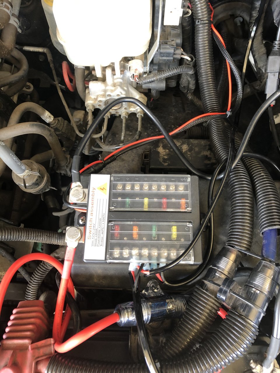 2AF81EFF-77E0-48C7-AFCD-7EA64D6D94A1.jpg