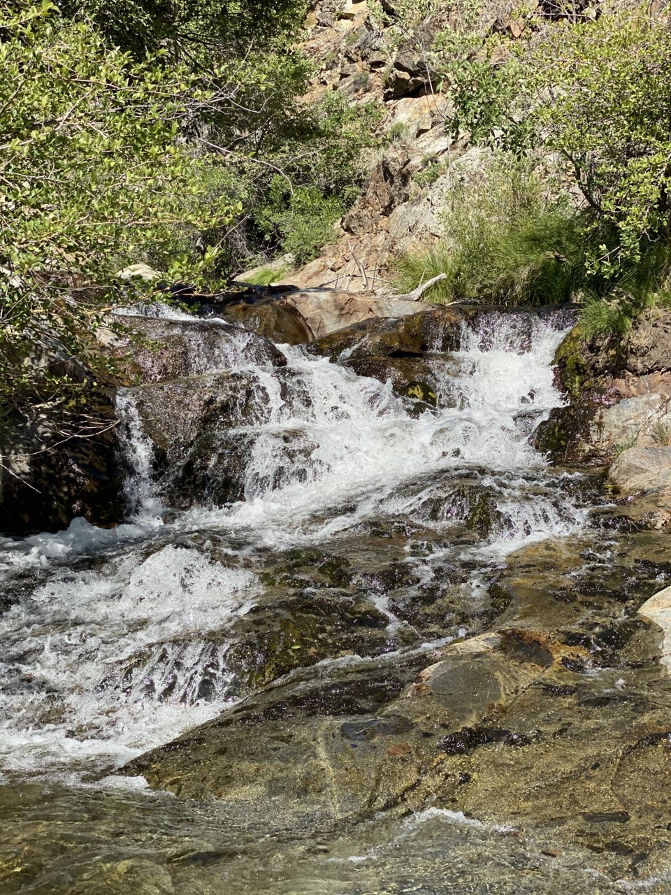 2C6B5E89-B0EE-407F-97E0-47D31191AC2A.jpg