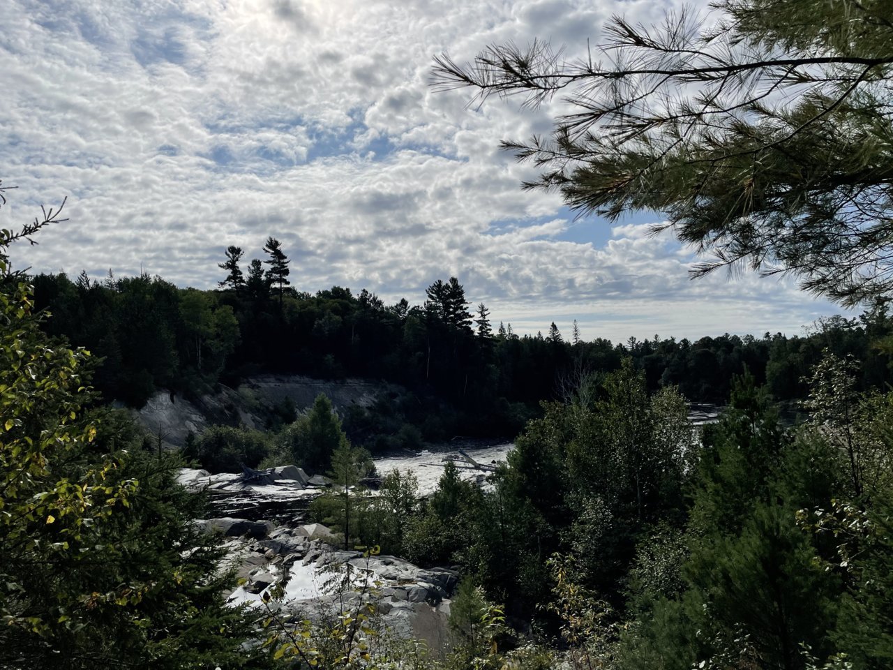2CE15196-A687-4D20-AB37-07FCCFDAAE9D.jpg
