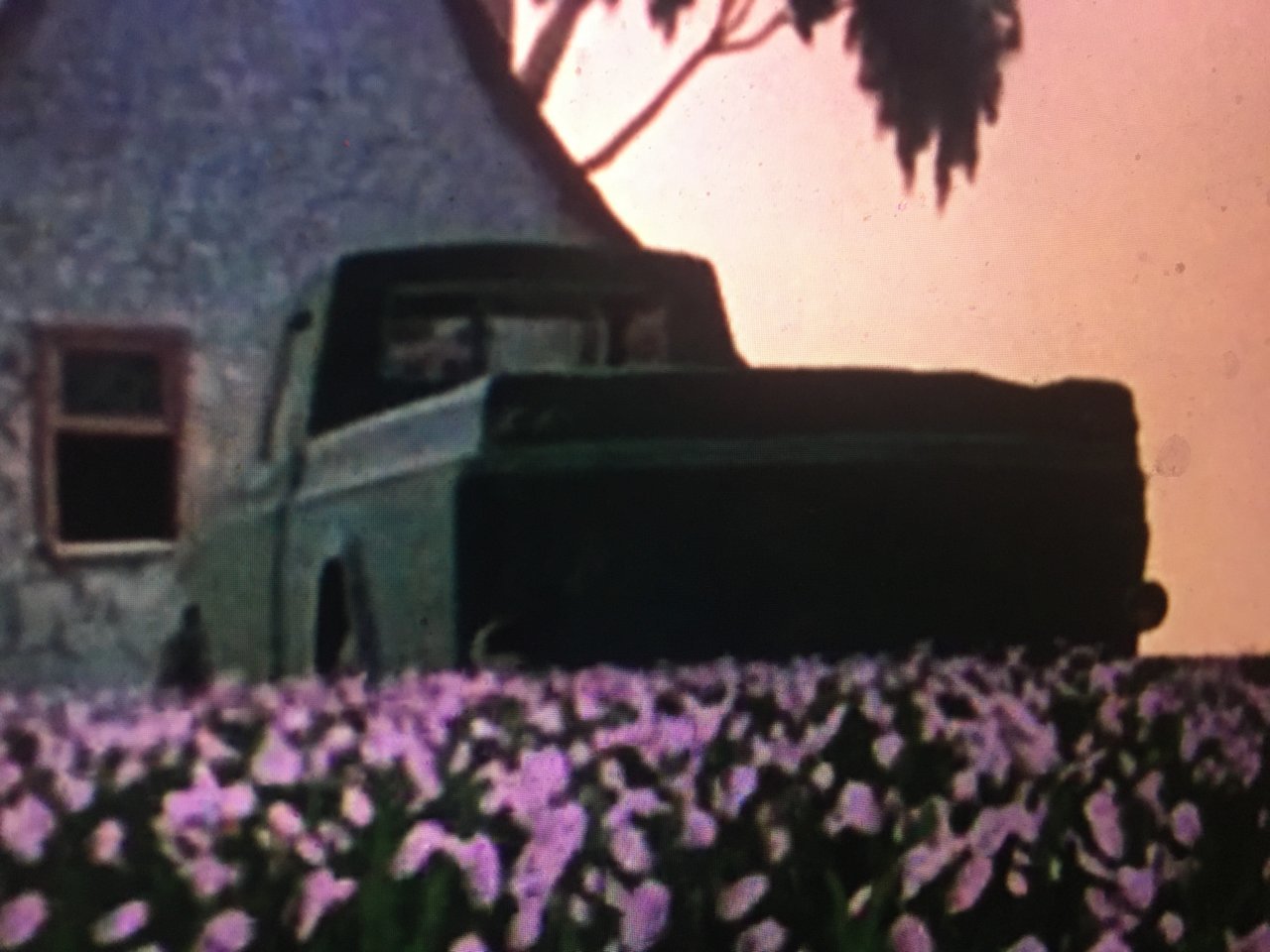 2CEA5408-5B7B-49F8-84AB-9BBC2FD4BFF4.jpg