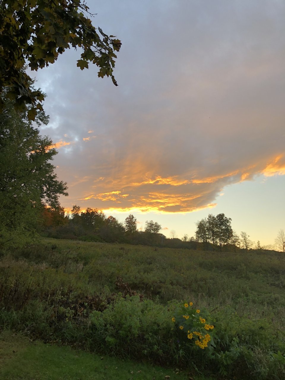 2D2DEDD0-5B82-4CC3-969D-C856E7704ED1.jpg