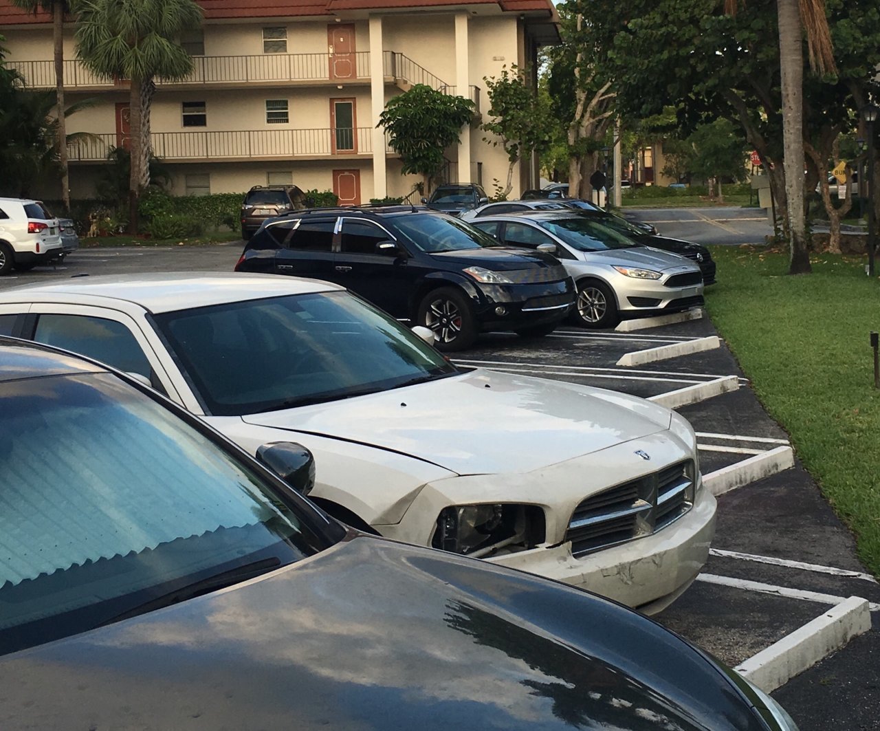 2D51FB82-0B46-4ADB-B7C7-CA6196FF2EF6.jpg