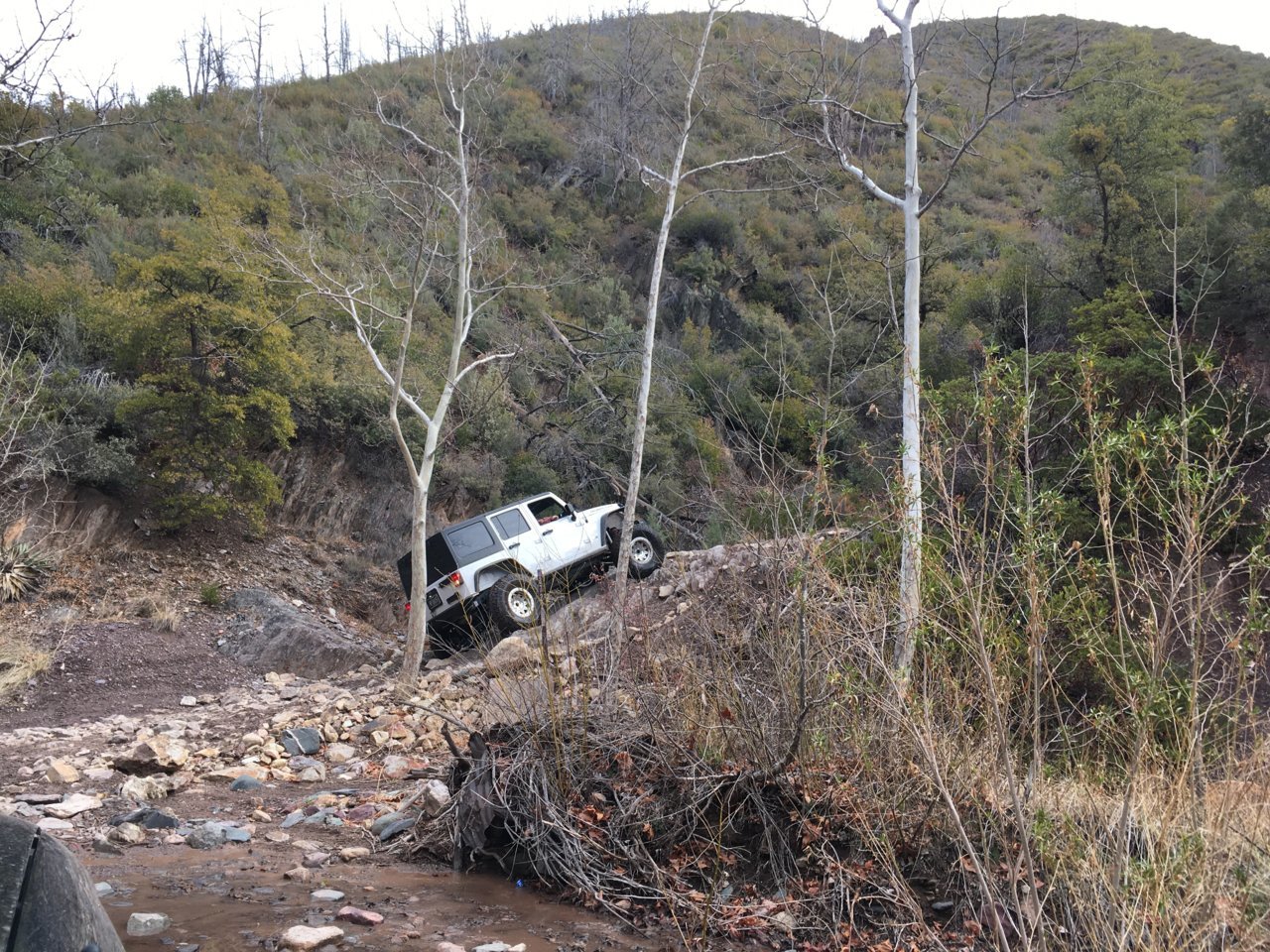 2D5B3722-23BA-49F3-B479-2B49B9AC0F11.jpg