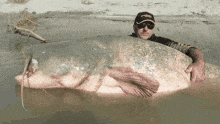 2d892a925564dd29e1f91c3127b8162ffa8e3549.gif