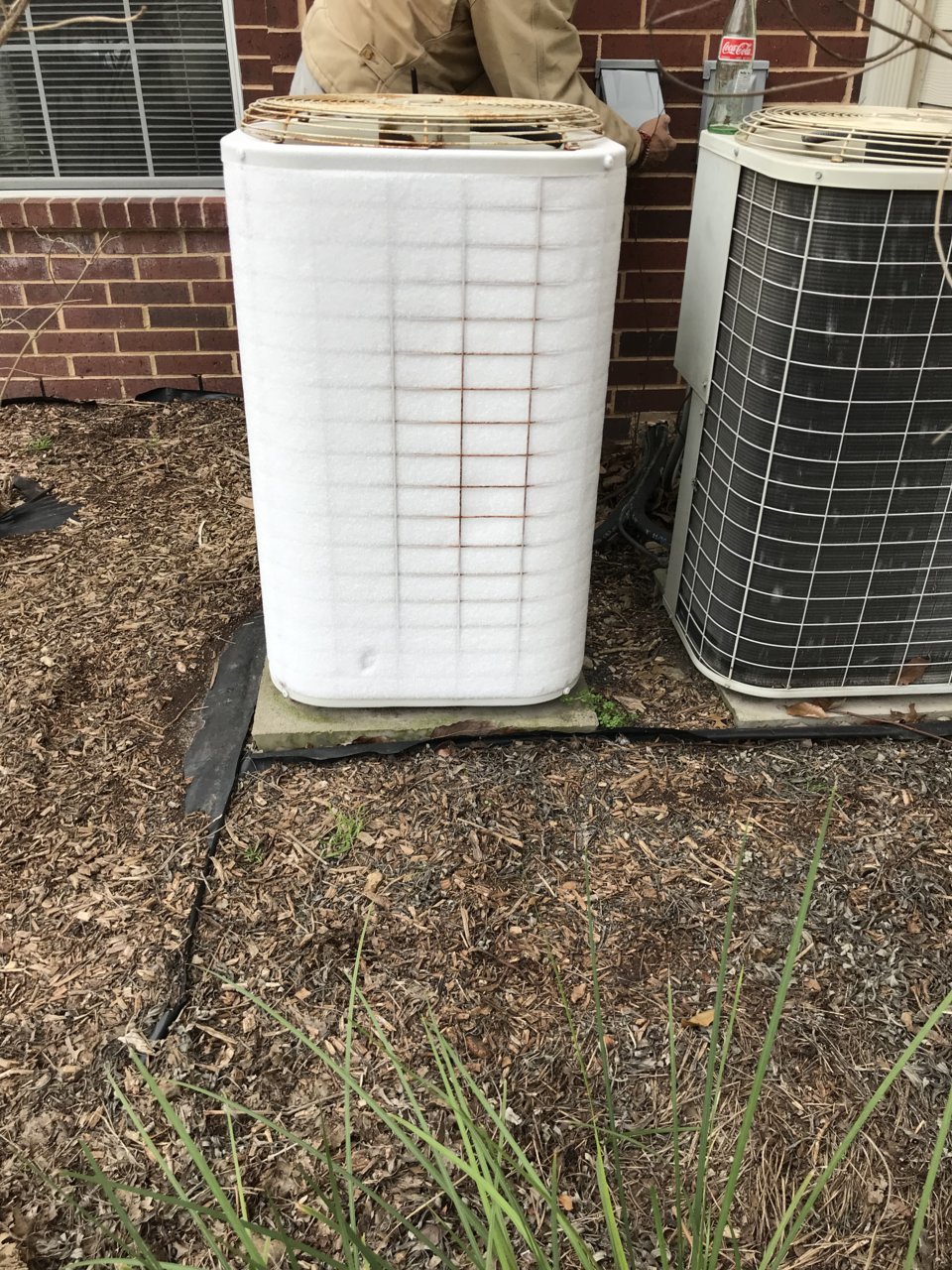 2DC395BB-AFBC-49DC-BA70-5B0B4852EC73.jpg