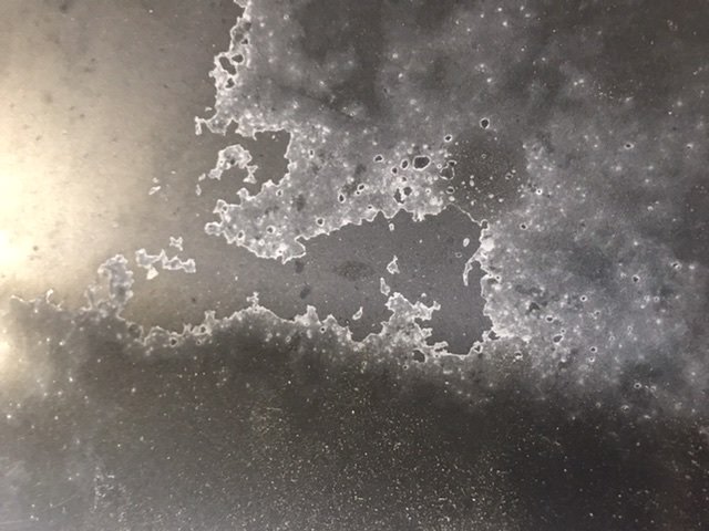 2E374248-76E4-48B6-B30A-FE0F4B585626.jpg