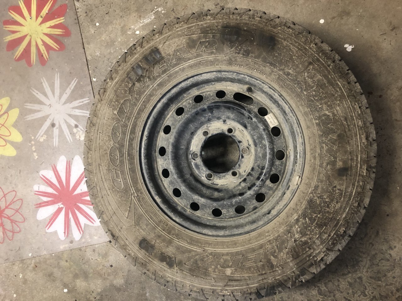 2E8ED912-CE20-48FB-AE81-EEC8CA9B70B5.jpg