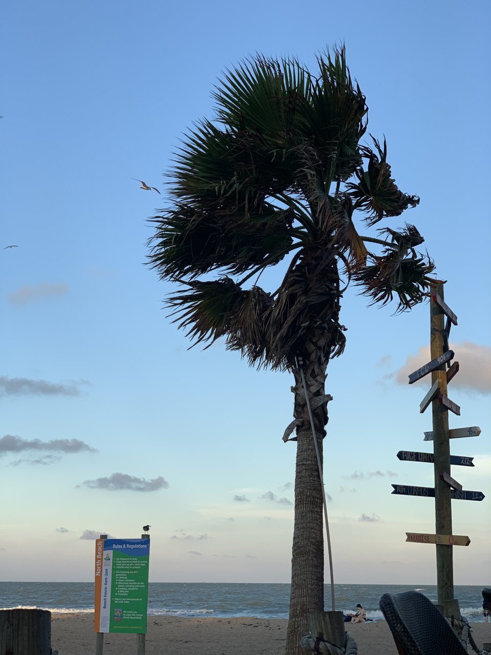 2E943F16-8AB1-4FC2-A02F-6CC3192E1D12.jpg