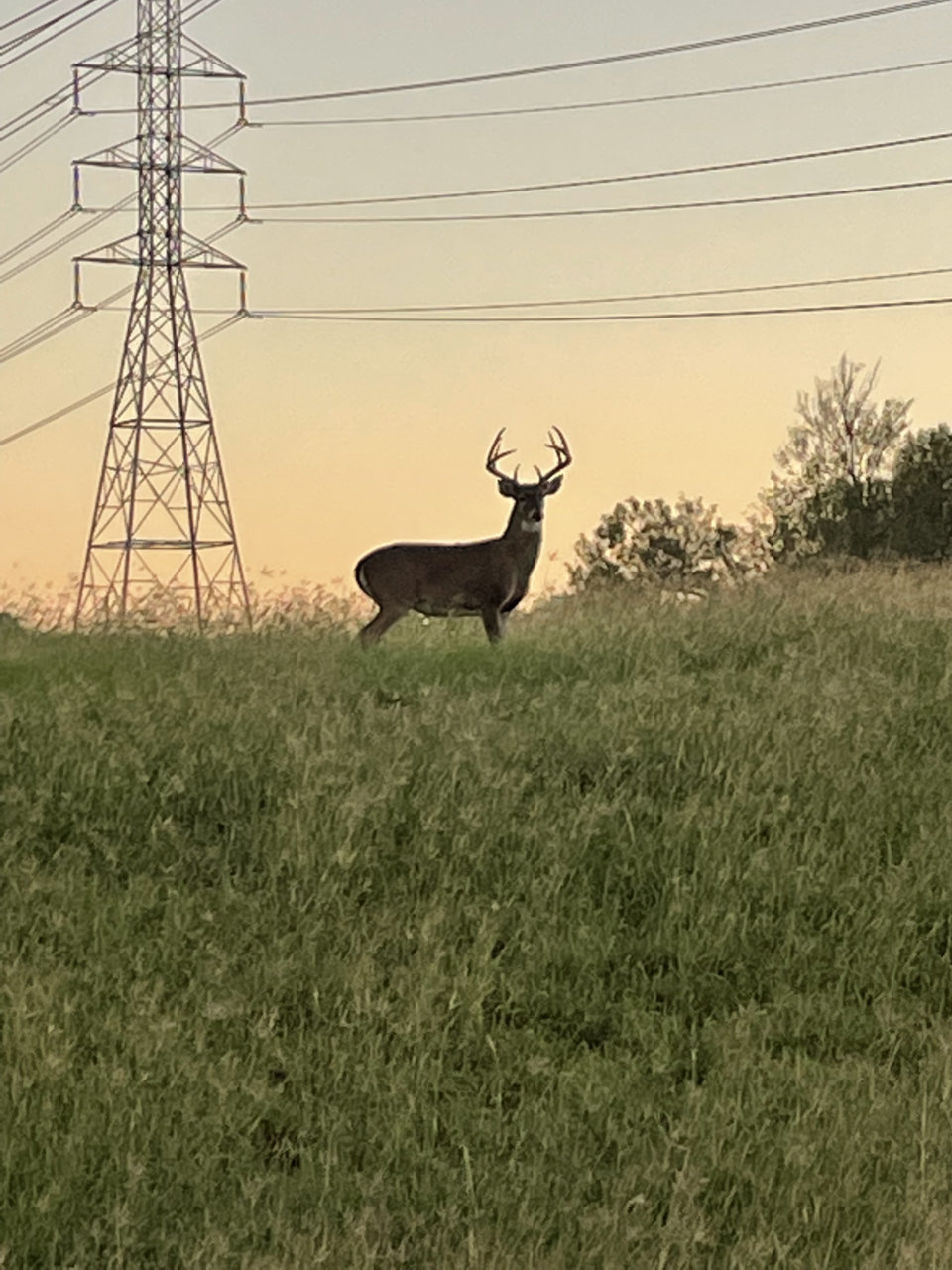 2F46AE2E-EF0F-478C-A34B-55BB84CAA5CF.jpg