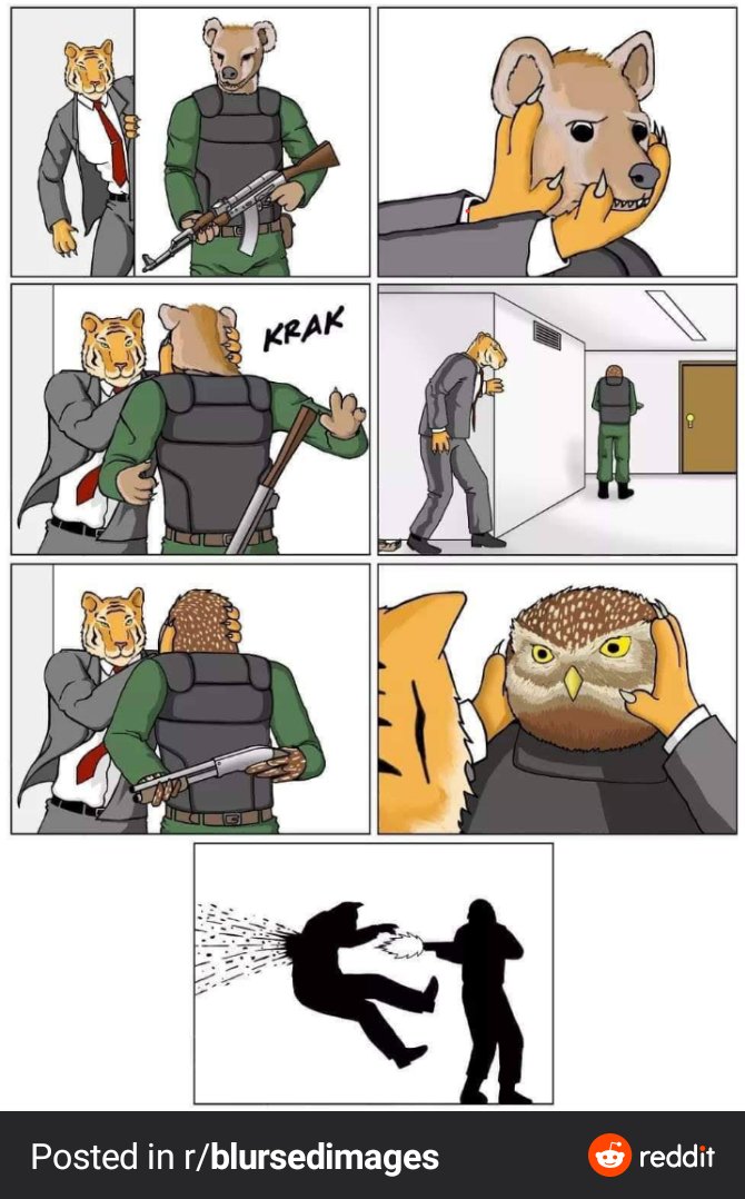 2fbf9d8.jpg