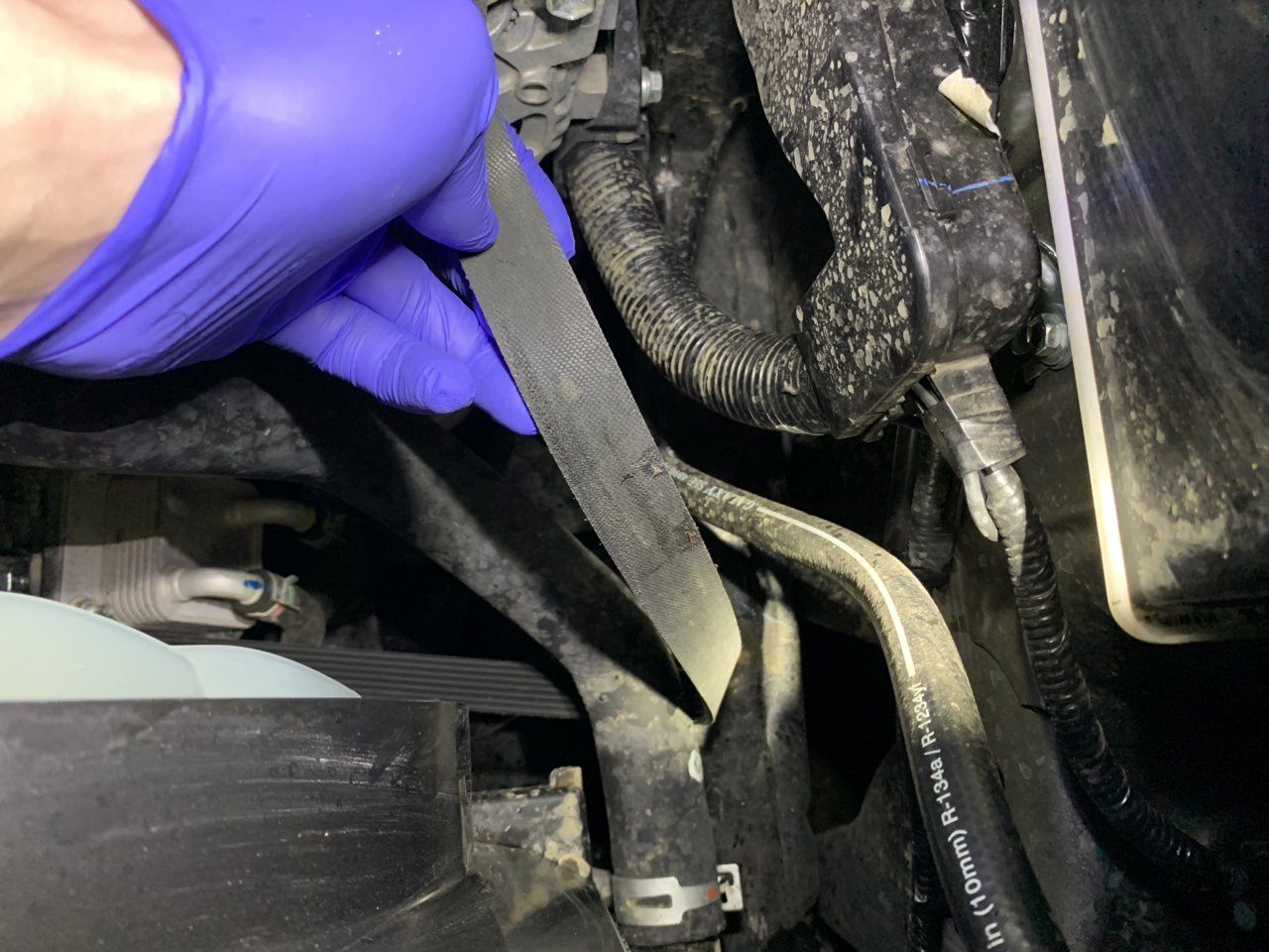 2FC4C795-F4DA-42CA-95CD-808CE6612CC7.jpg