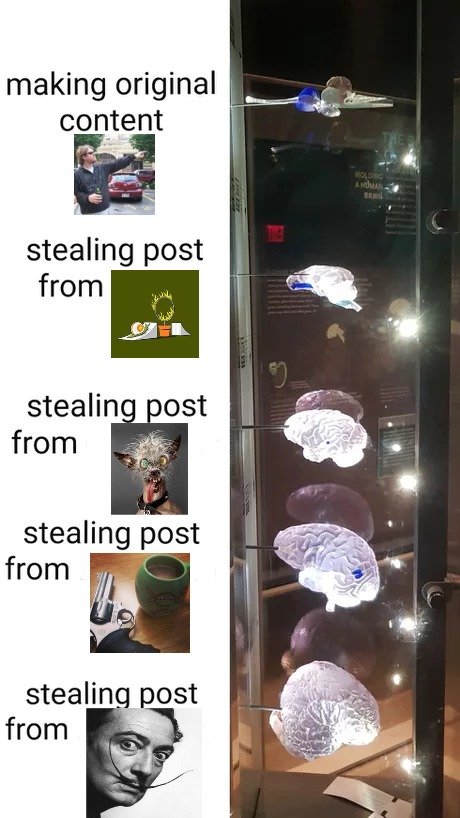 2g1t75.jpg