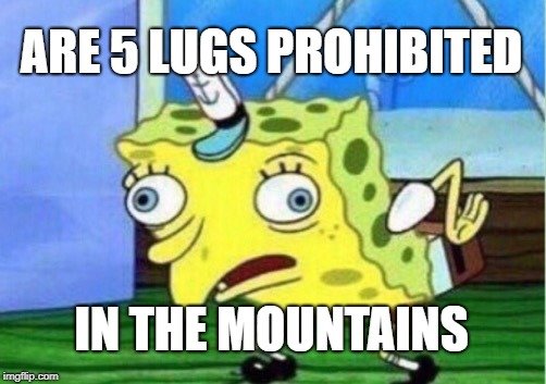 2i5j4o.jpg