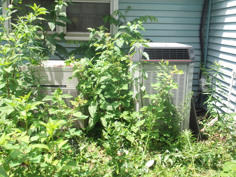 2OldHeatPumps 013.jpg