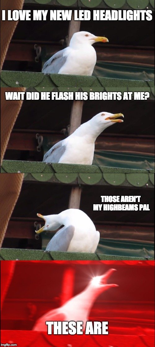 2qy3an.jpg