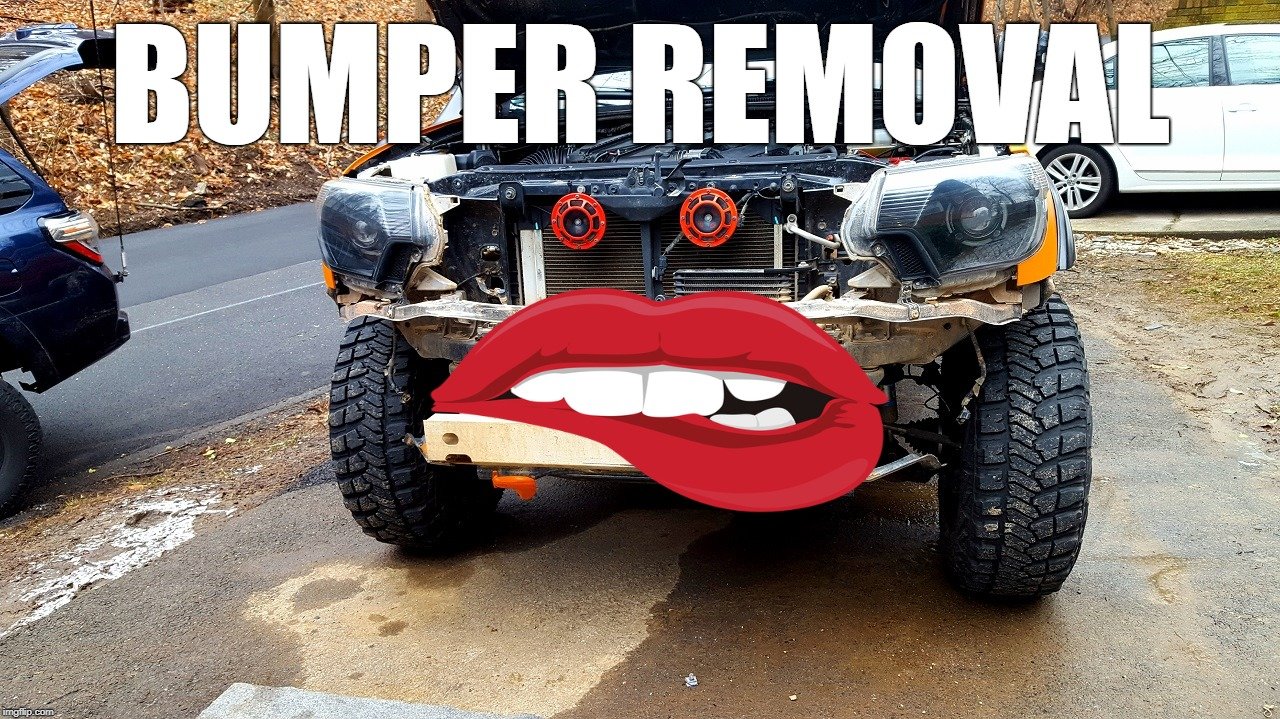 2vp2v8.jpg