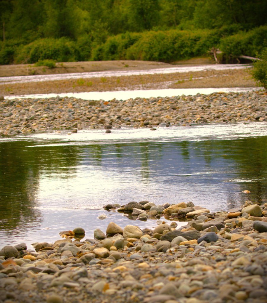 2W0A0204.jpg