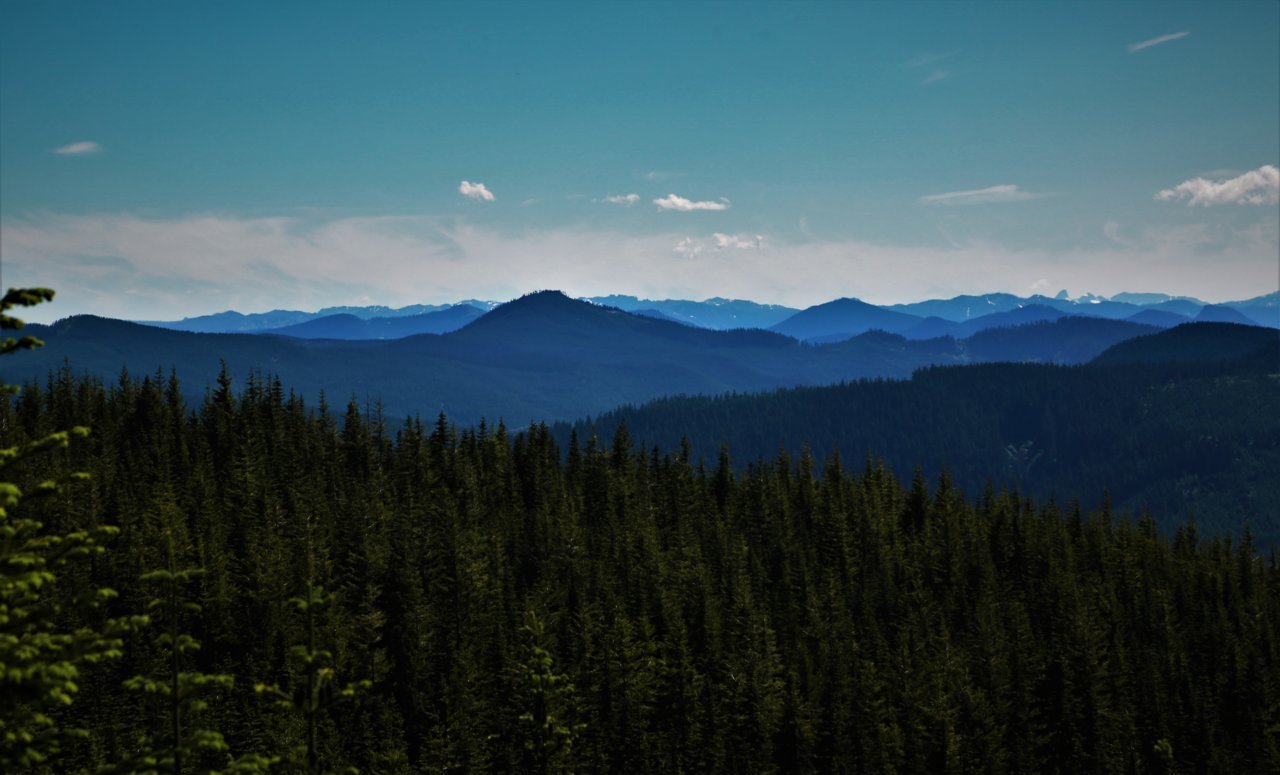 2W0A0788.jpg