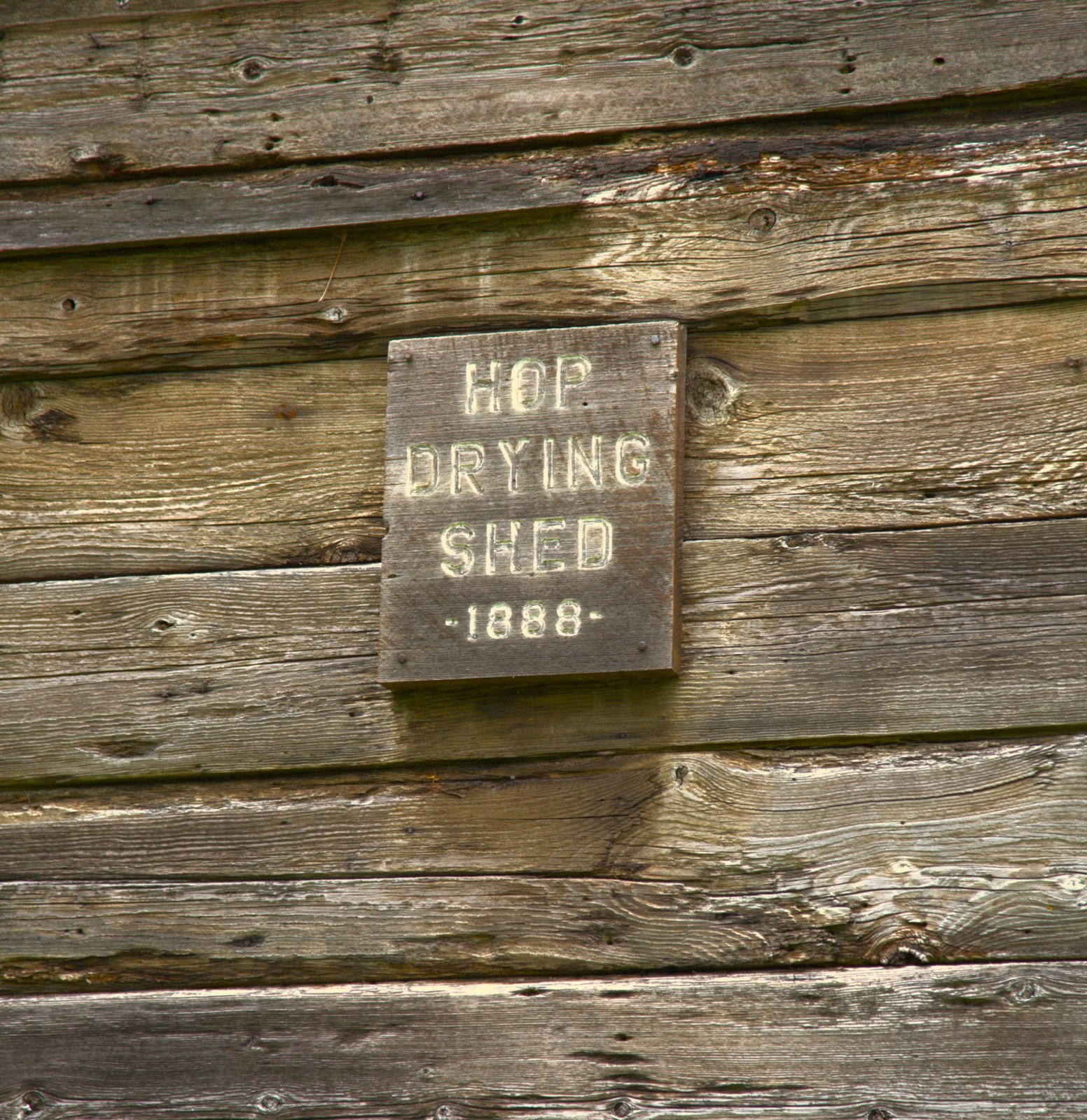 2W0A7596.jpg