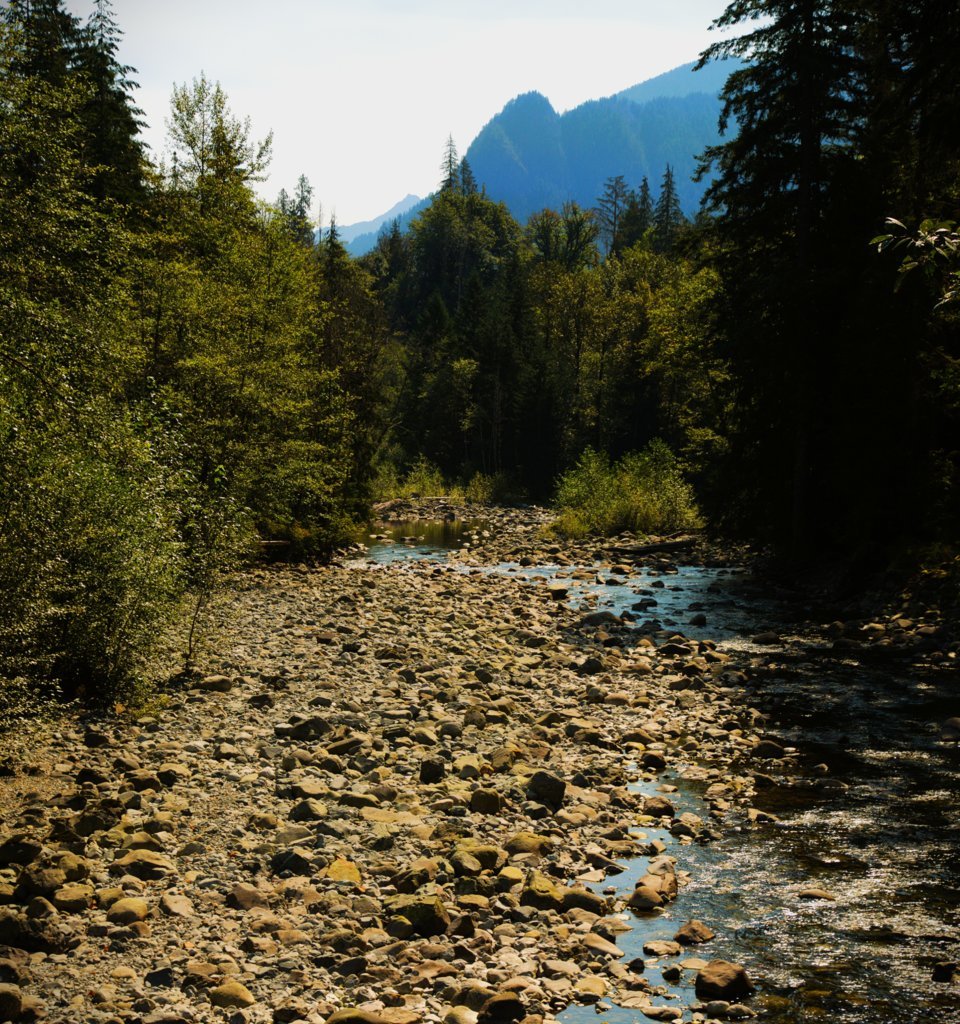 2W0A8114.jpg