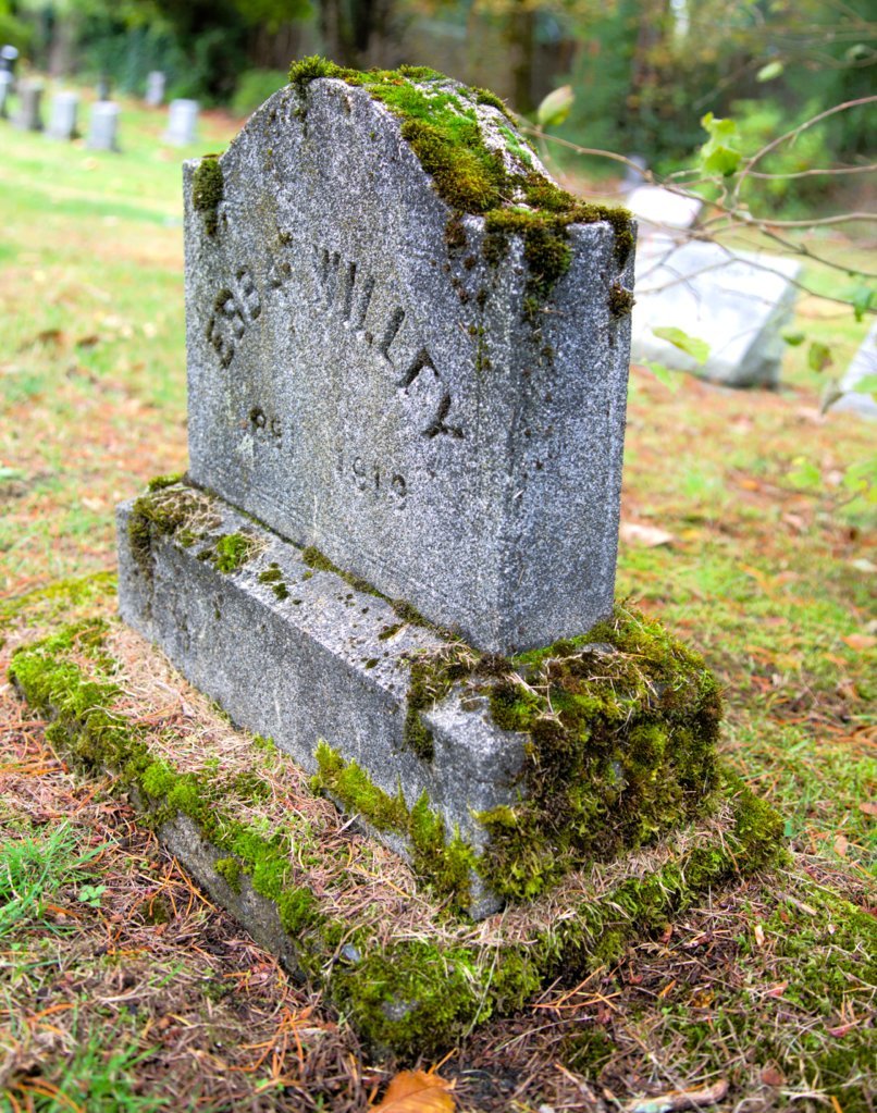 2W0A8850.jpg
