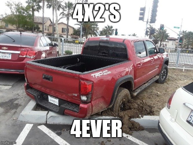 2wpf25.jpg